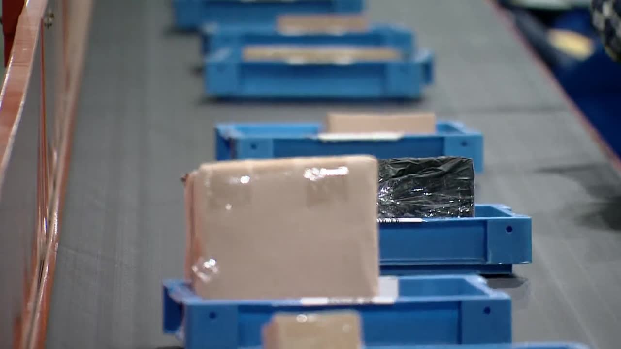 Mail moving through a sorting facility.